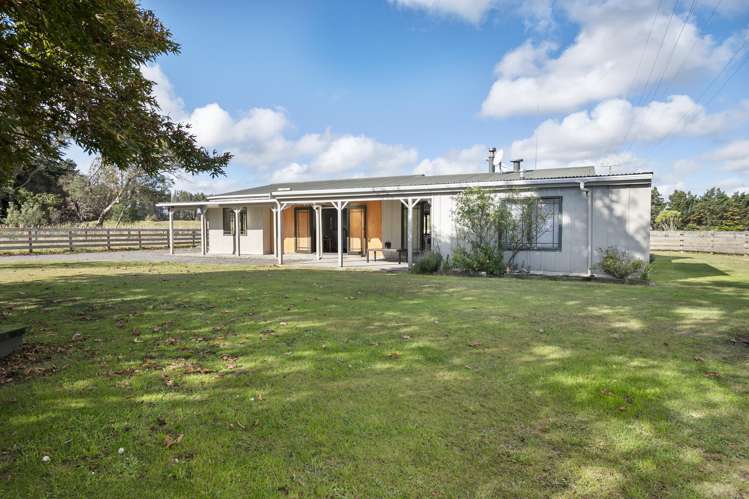 363 Brandon Hall Road Bulls_25