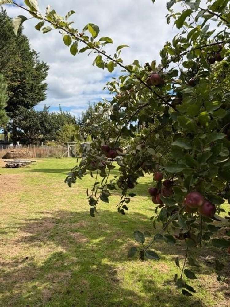 18, 20, 22 Lyne Street Nightcaps_19