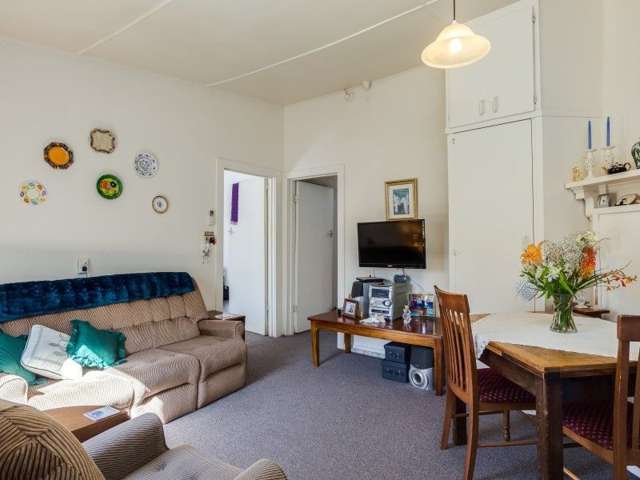 8 Prendergast Street South Dunedin_3