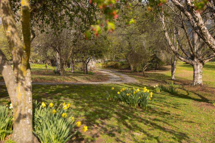 21 Speargrass Flat Road Speargrass Flat_17