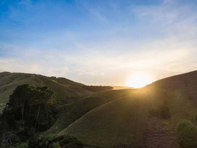 Lot 2/269 Grays Road Pauatahanui_11