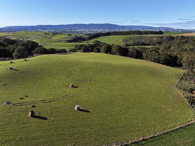 725 Grove Burn Road Tuatapere_3