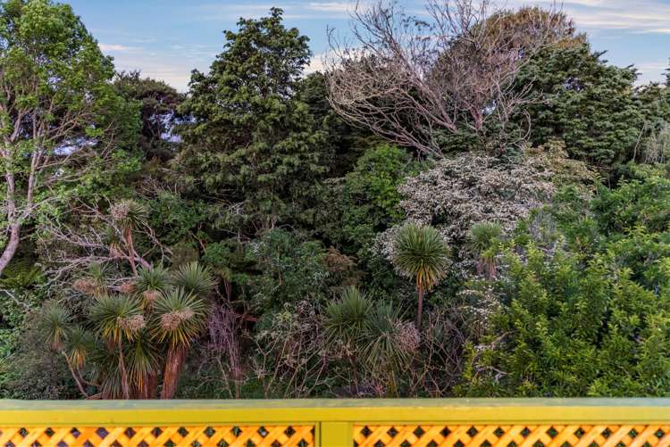 18 Beeche Place Birkdale_19