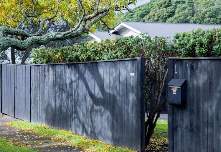 1 Oranga Avenue Onehunga_16