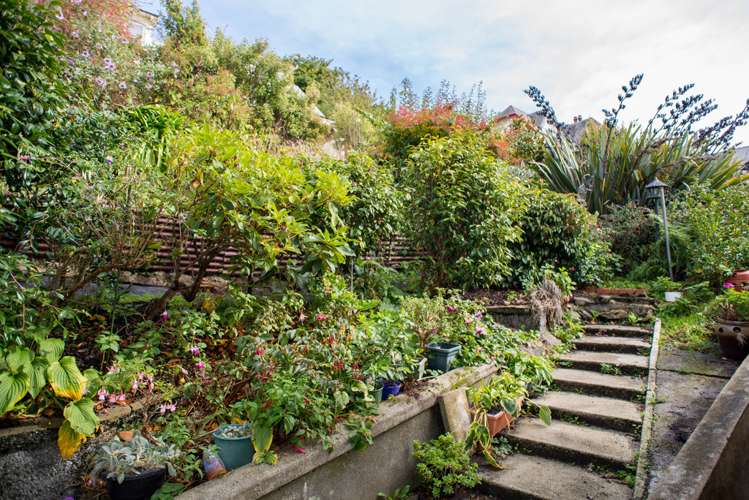 5 Lees Street Dunedin Central_16