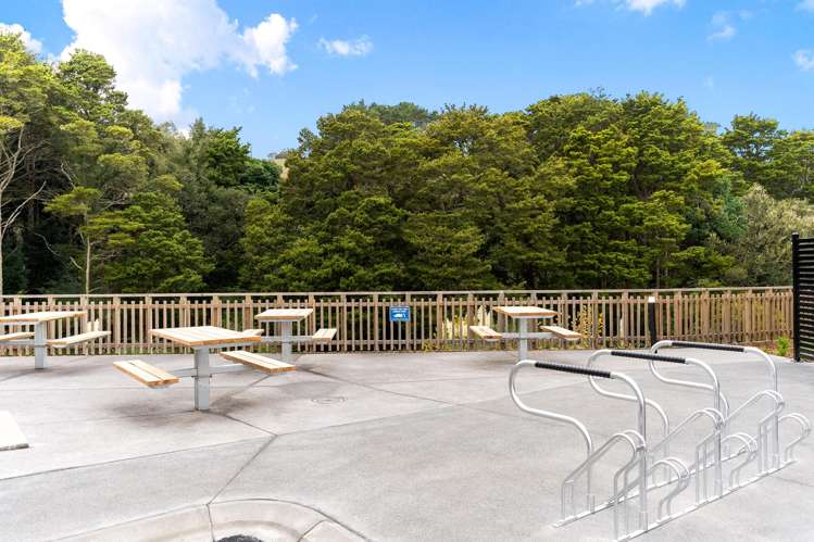 Unit 54/64 Matakana Valley Road (The Workshops) Matakana_9