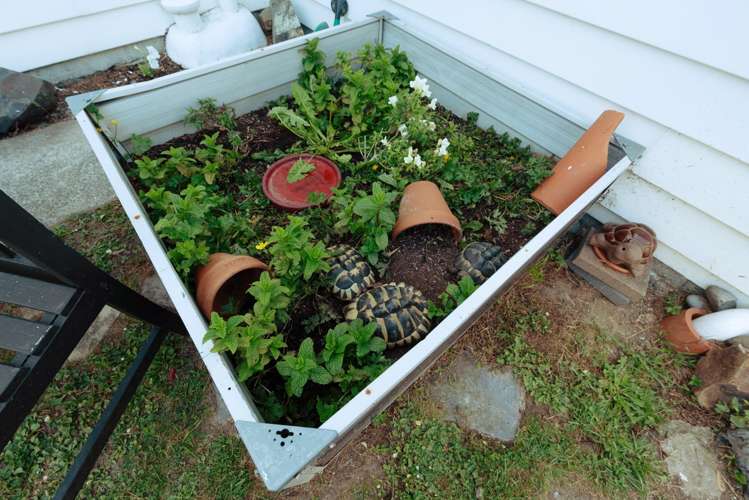 91 Thurleigh Grove Karori_22