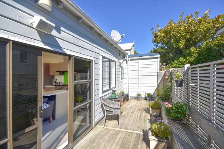 643 Highgate Maori Hill_6