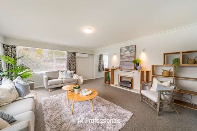 154 Waterloo Road Lower Hutt_1