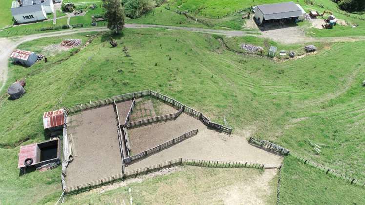 109 Paponga Road Broadwood_21