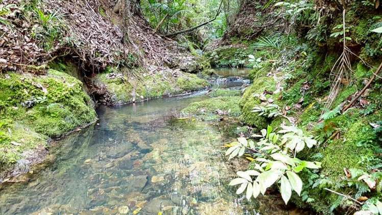 3211 Russell Road Whangaruru_15