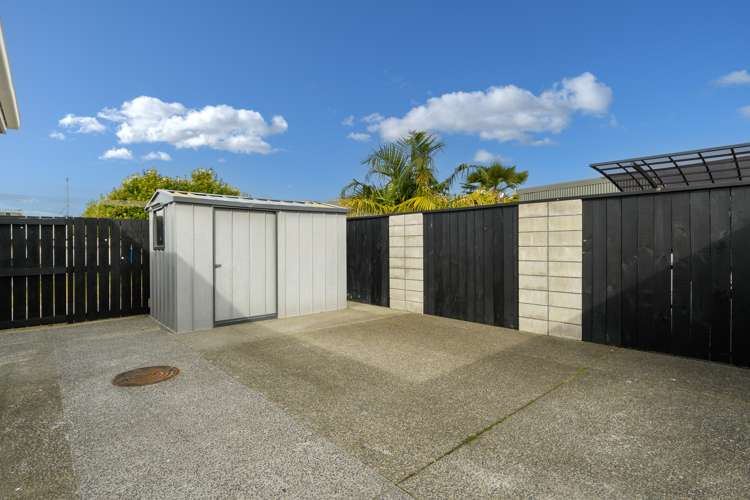 14 Vine Avenue Maungatapu_8