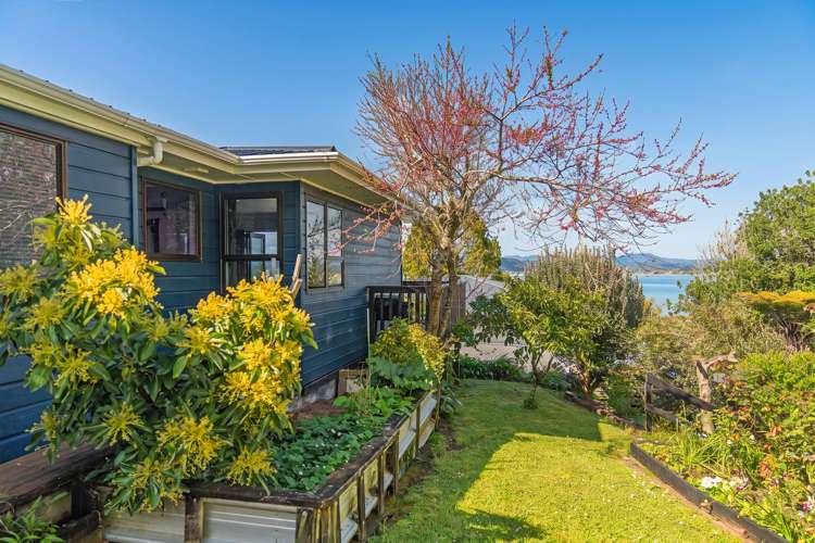 178 Buffalo Beach Road Whitianga_48