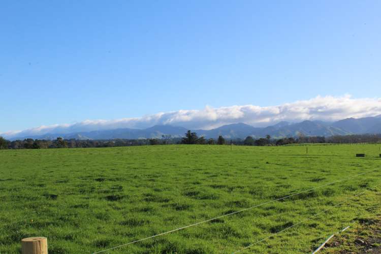 109 Vaughan Road Takapau_8