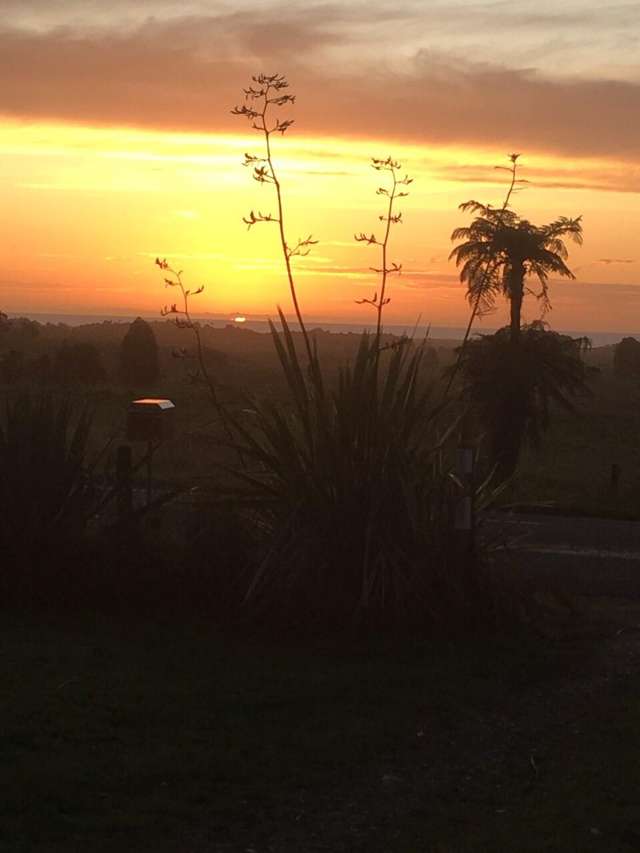 382 Oparara Road Karamea_3