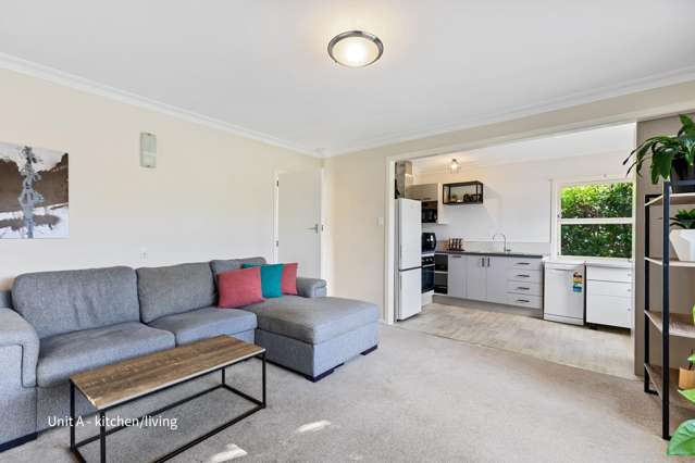 265A & B Ngatai Road Otumoetai_3