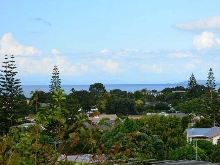 20f Homestead Road Manly_2