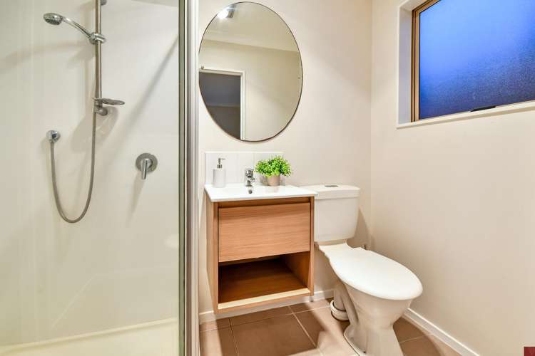 30 Birchlands Road Flat Bush_12