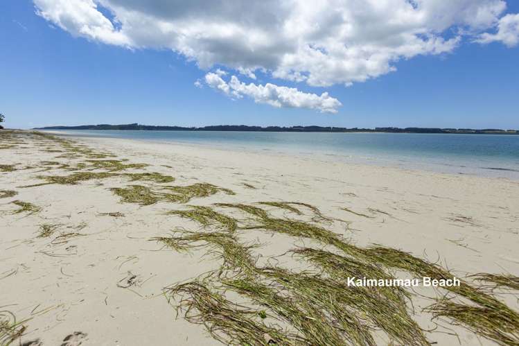 Lot LOT 10/27 Turk Valley Rd Pukenui_17