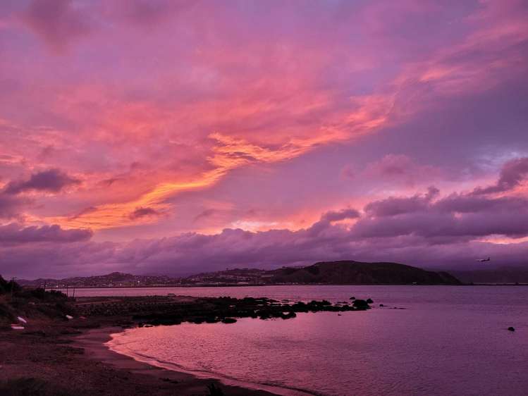 2/420 Queens Drive Lyall Bay_18