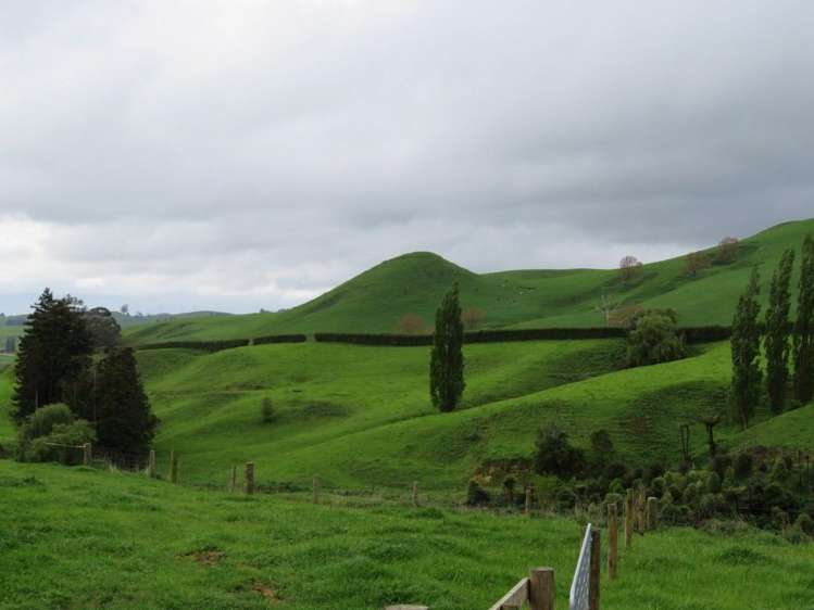 11 Dillon Road Rotoorangi_7