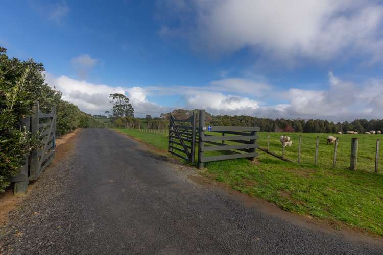 101 Logan Road Pukekawa_20