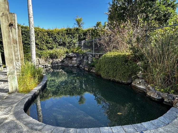 299A Riddell Road Glendowie_9