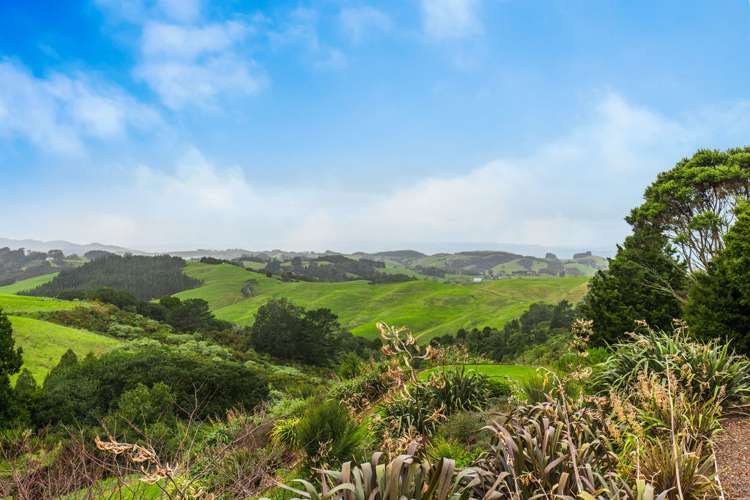 573 Redoubt Road Flat Bush_9