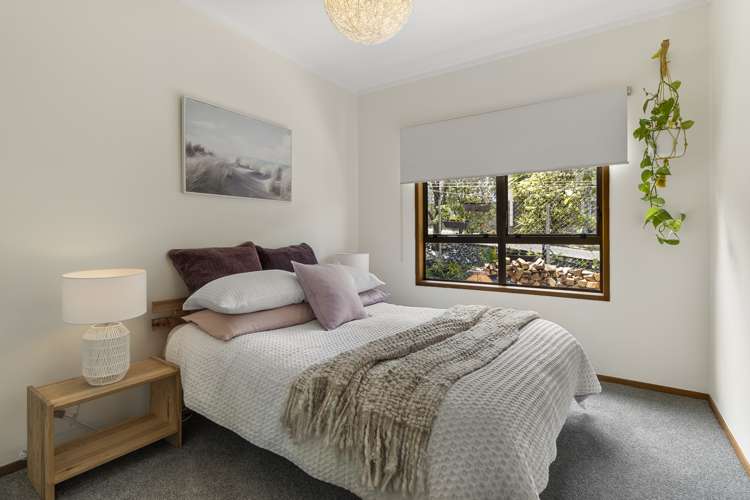 420 Hillsborough Road Mount Roskill_33