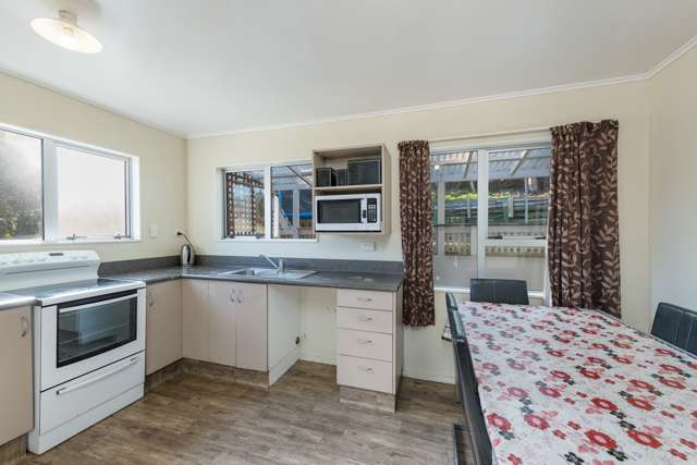 45 Murphy Street Toi Toi_2