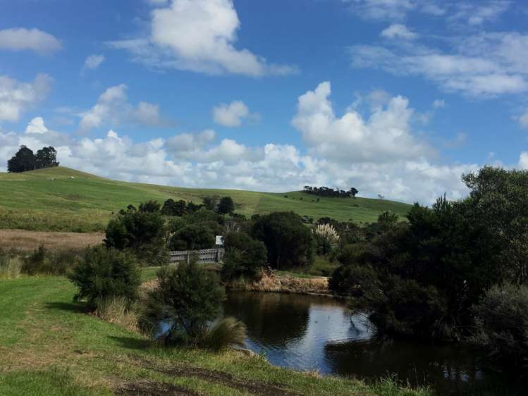 6b Spinnaker Lane Mangawhai_5