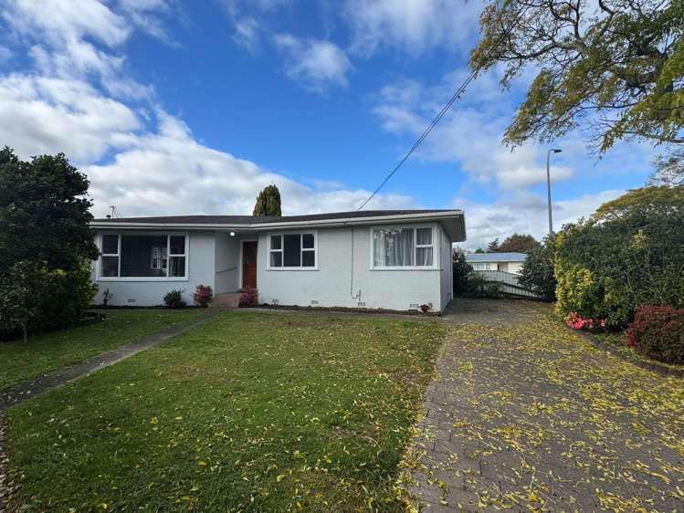  347 Ruahine Street_0