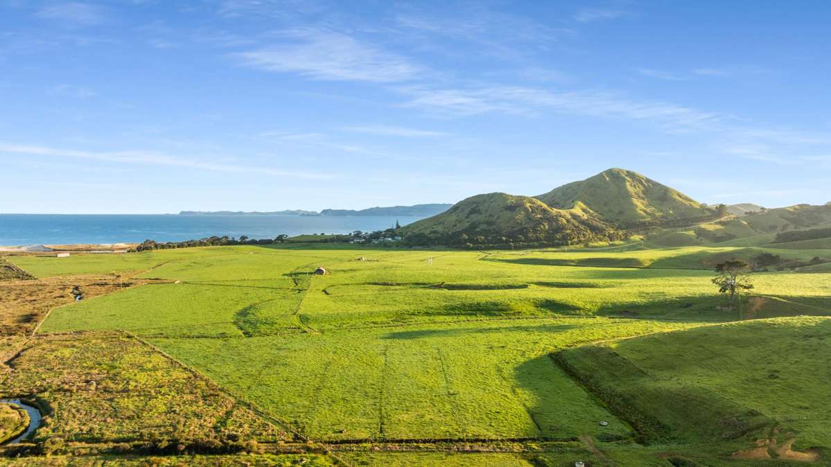 550 Black Jack Road_4