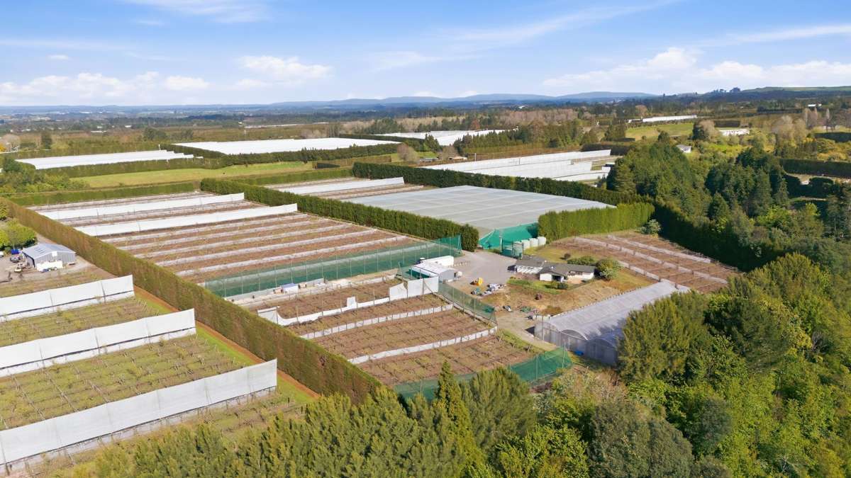 364 Te Matai Road_2