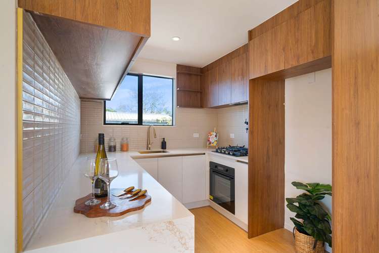 64 Tony Segedin Drive Avondale_7