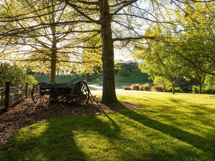 547 Speargrass Flat Road Dalefield/Wakatipu Basin_6