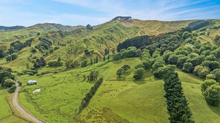 1068 Hinemoa Valley Road Pahiatua_5