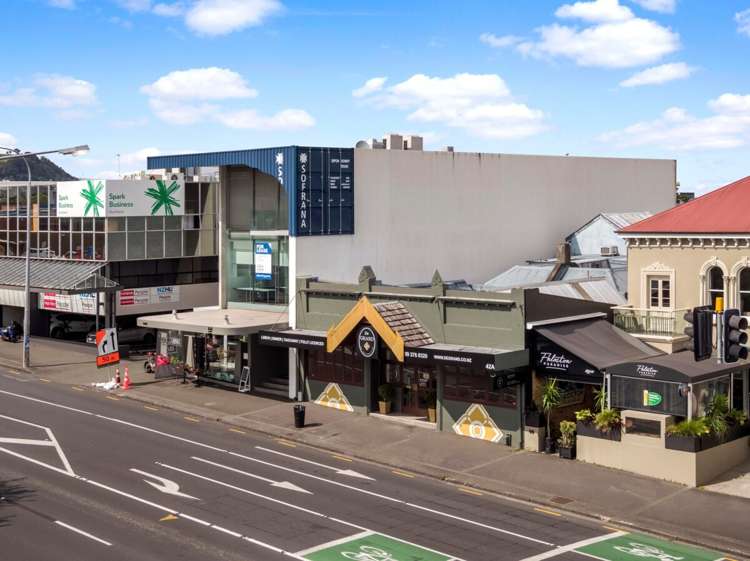 38 Ponsonby Road Ponsonby_14