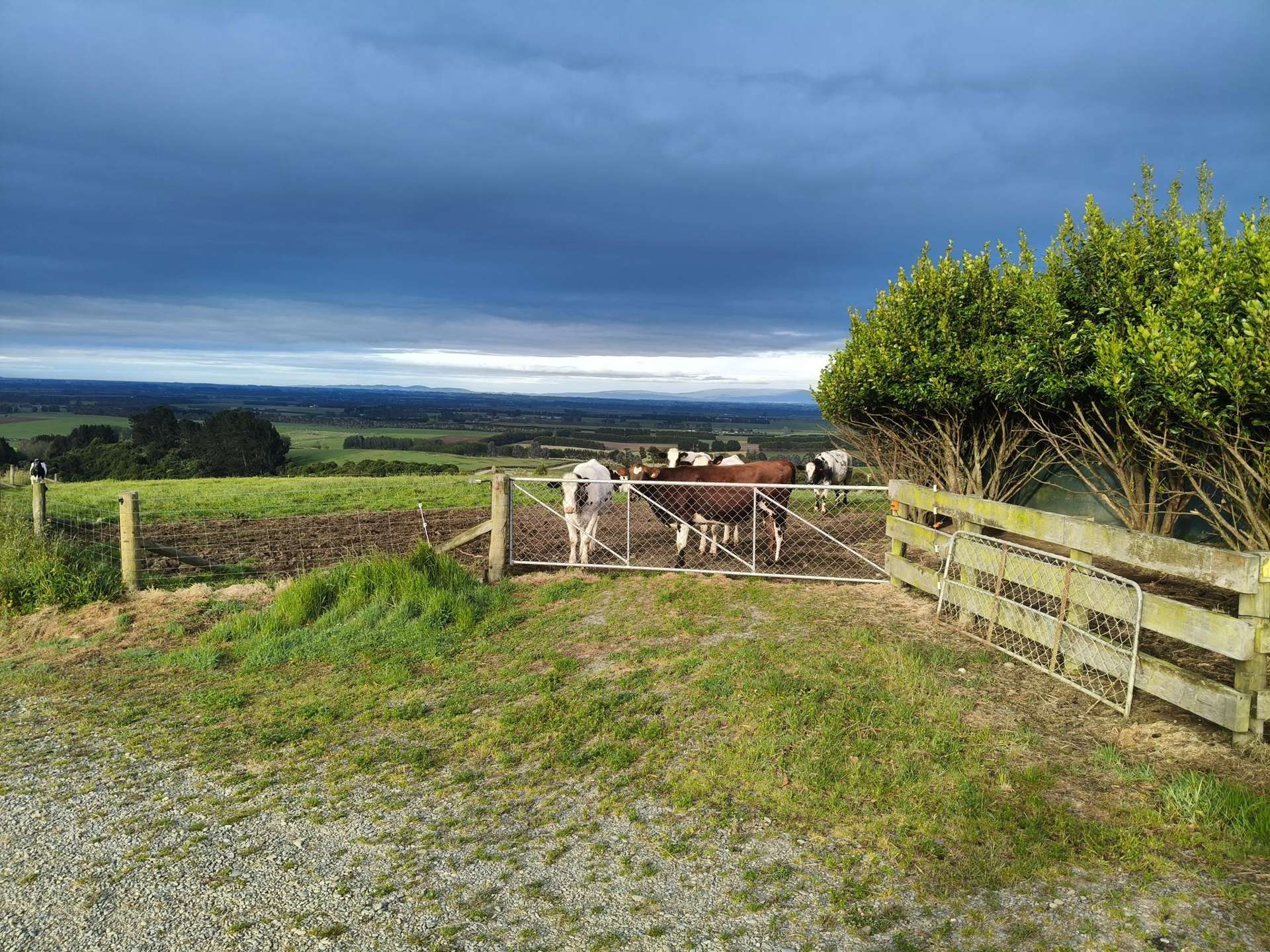 137 Kahikatea Drive Winton_0