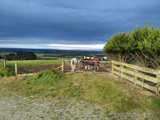 Spread your wings and prepare to fly!