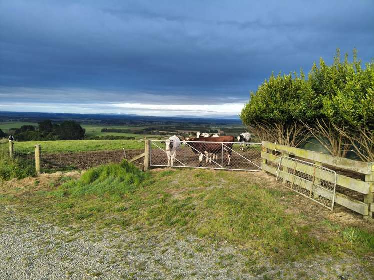 137 Kahikatea Drive_0