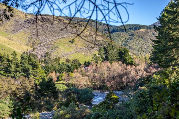 351 Upper Waingawa Road Kaituna_14