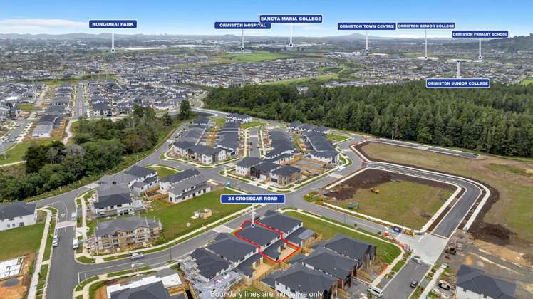 24 Crossgar Road Flat Bush_35