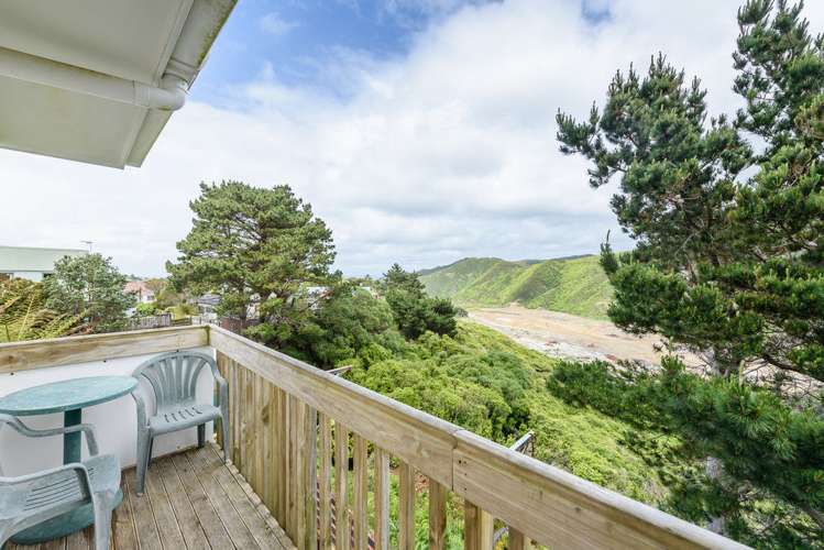 224 Mitchell Street Brooklyn_12