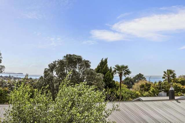 115 Matipo Road Mairangi Bay_3