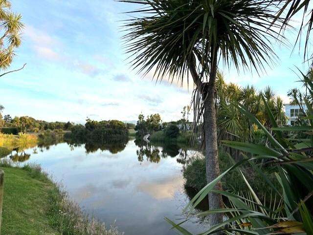 36B Palmer Road Foxton Beach_4