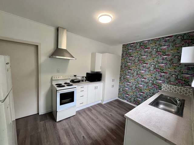 38 Malvern Street Woodhaugh_3