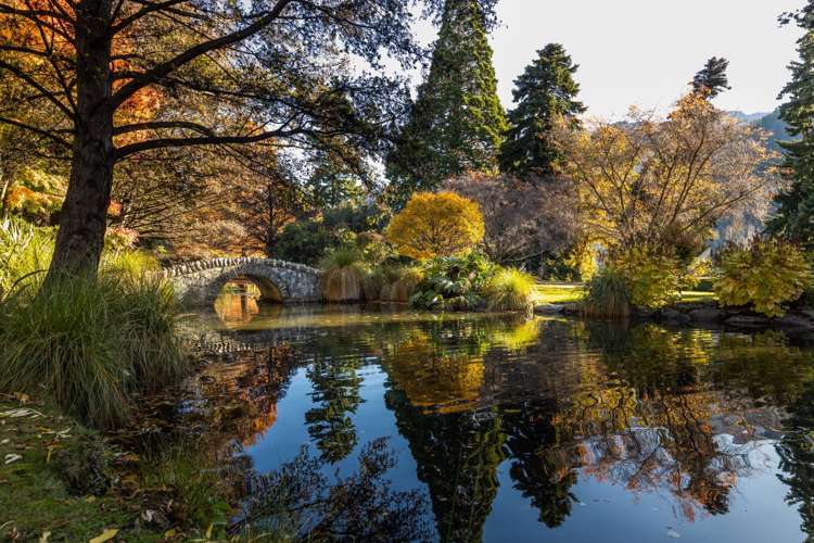 20 Park Street Queenstown_15