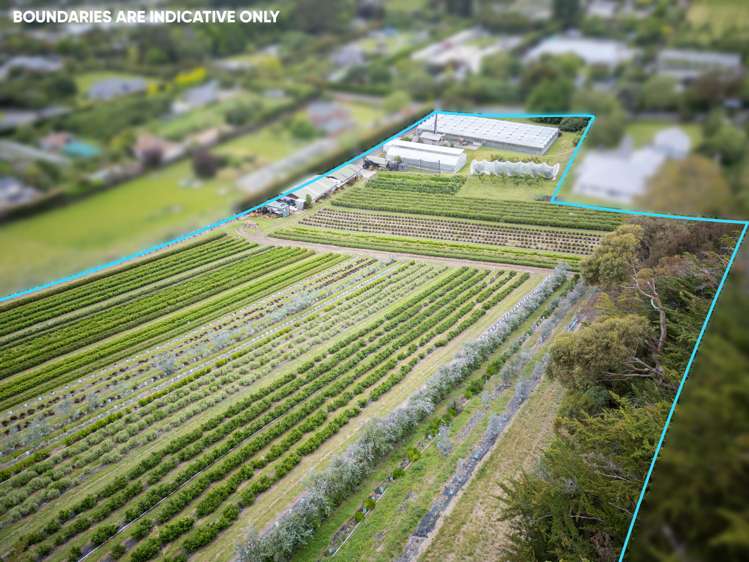 36A Horotane Valley Road Heathcote Valley_28