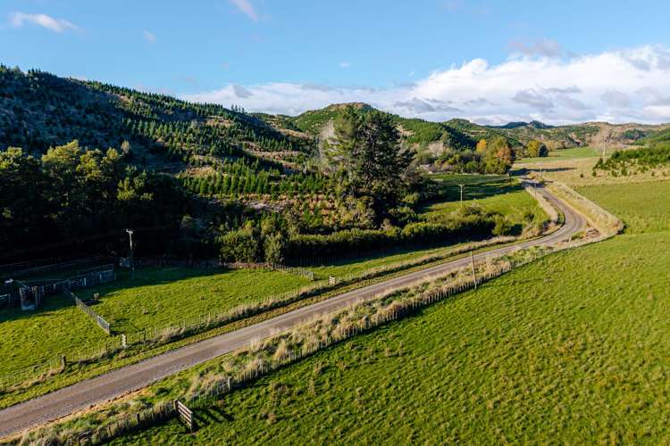 253 Waipuru Road Ohingaiti_16